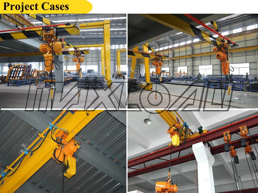 1000kg Monorail Beam Construction Hoisting Equipment Material Building