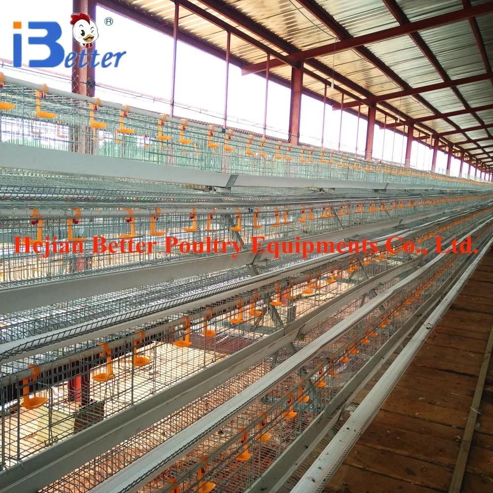 Chicken Cage For Sale 120 Chicken Egg Layers Chicken Cage Buy Chicken