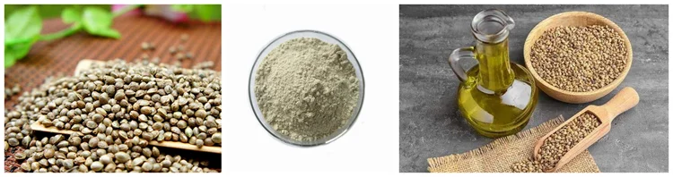 Factory Supply Chinese Organic 85% Hemp Seed Protein Powder.jpg.png