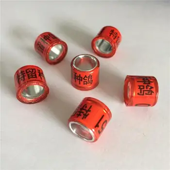 Menards Aluminium Jendela Awning Zombie Boy Perak Sangkar Burung