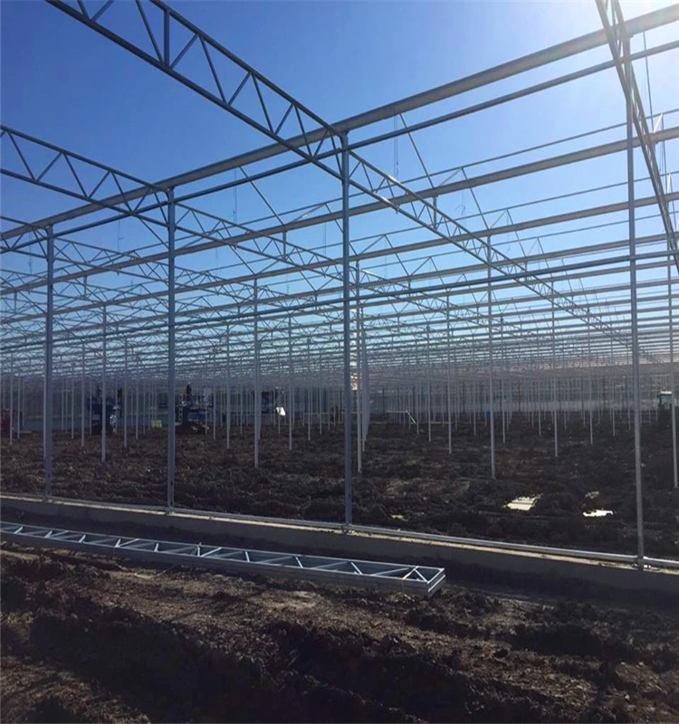 Vanilla Grow Greenhouse