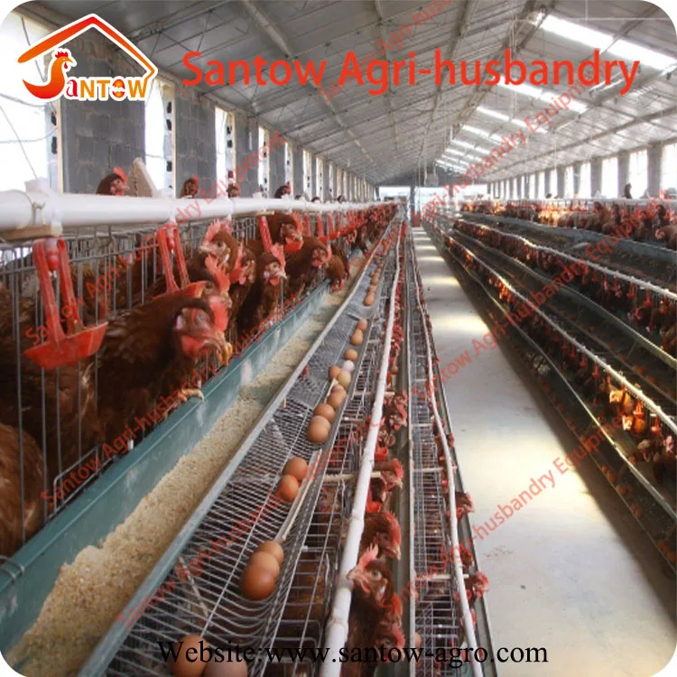 Automatic poultry farm equipments A H type chicken layer cage industrial chicken poultry battery egg laying cage for sale