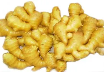 ginger (2)