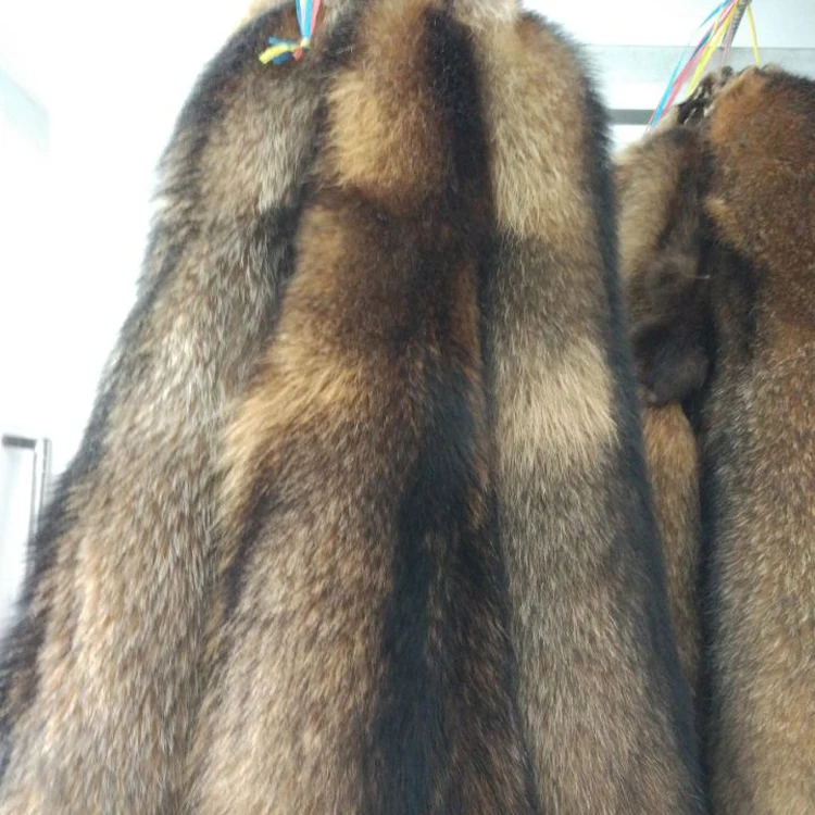 raccoon skin (8).jpg