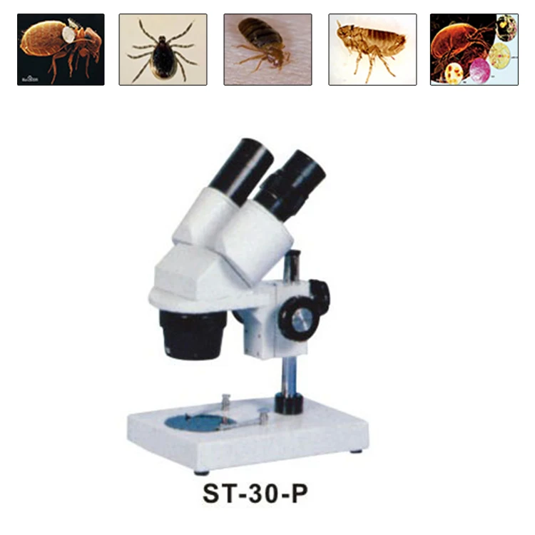 Binocular Biological Stereo Microscope