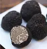 /product-detail/black-truffle-good-price-perigord-truffle-for-sale-as-food-60781662418.html