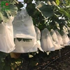 China factory supply Breathable non-woven bag /grape bag grape pp non woven bag,Insect-proof and sterilization
