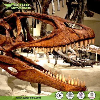 dinosaur skull replicas for sale