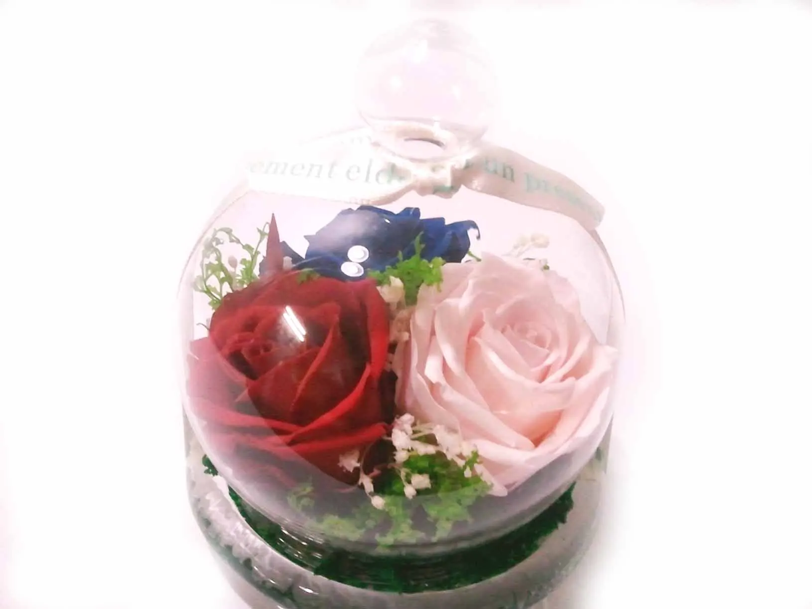 Preserved Flowers In Gl Dome Flower Box Product On Preserved Flowers In Gl Dome Flower Box Product On Alibaba