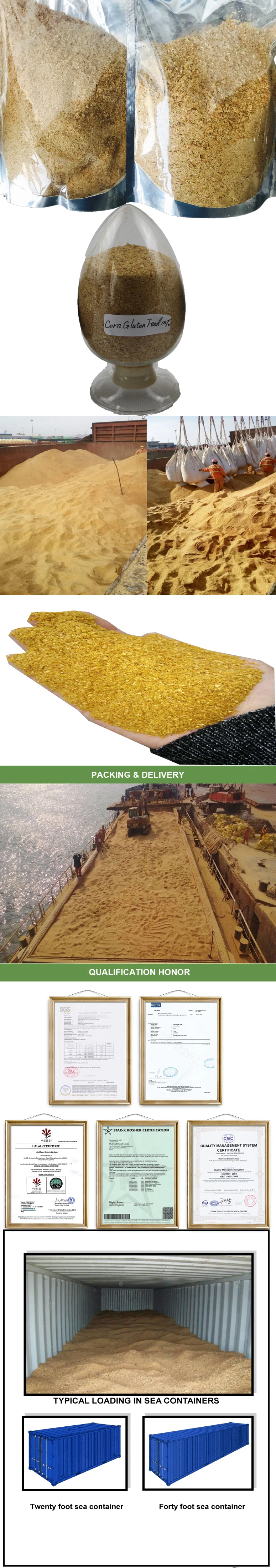 Corn Gluten Feed.jpg