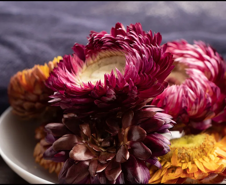 Colorful Chrysanthemum