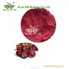 Red Beet,red beet extract, red beet powder natural pigment Red beet root extract 10:1