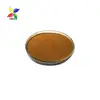 High Quality organic pumpkin seed extract pumpkin seed powder