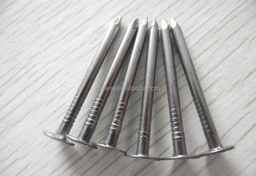 Factory Hot Sale!! Large Flat Head Galvanized Roofing Nails Eg. Clout