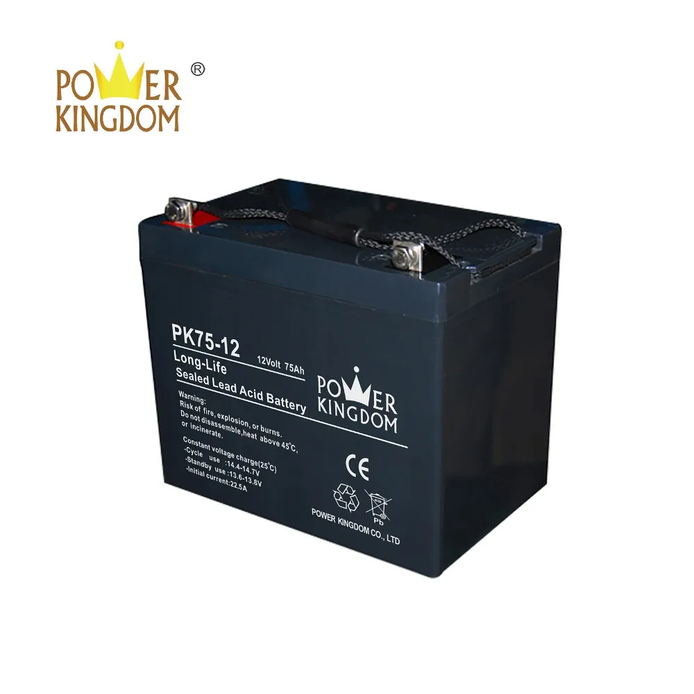 Power Kingdom best sealed deep cycle battery factory price Automatic door system