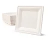 Environmentally friendly disposable Bagasse cockery set, white square sugar cane plate, Bio disposable bowls,