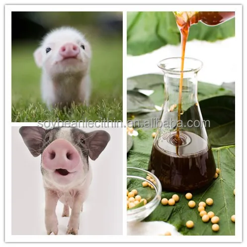 soya bean lecithin liquid gmo feed additives