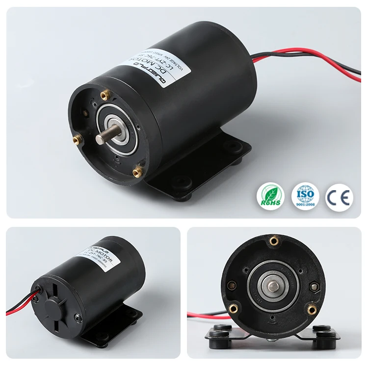 micro motor pump motor.jpg