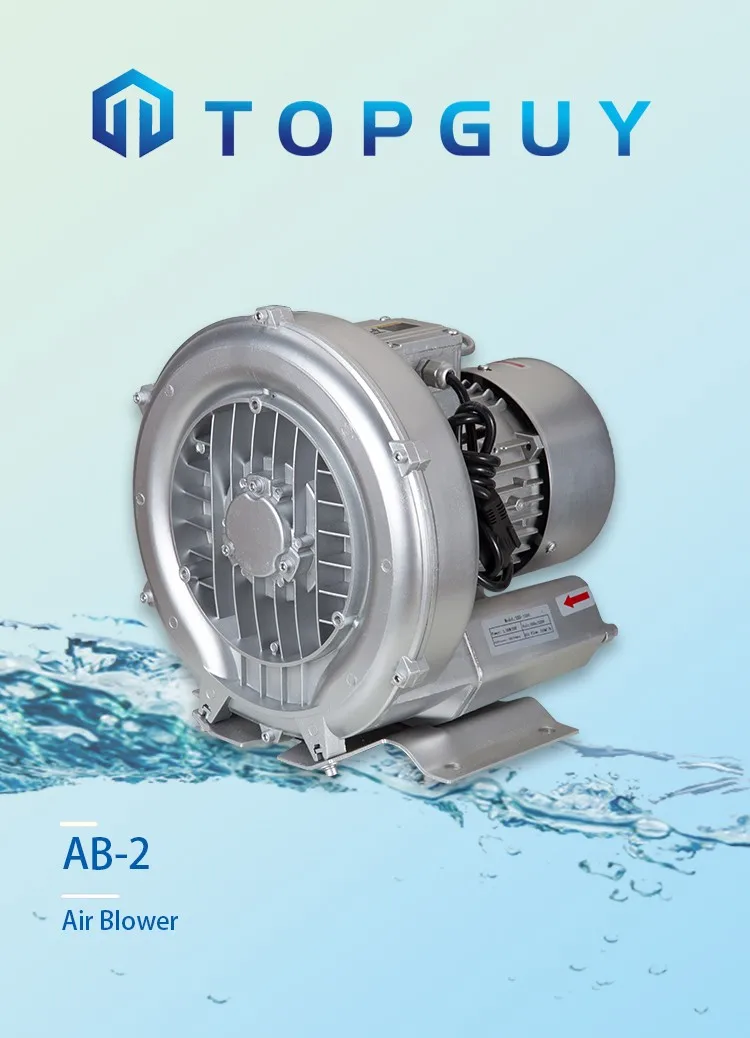 Tub Air Blower, 220V, 1.5HP, Aluminum, ABS - detail 2