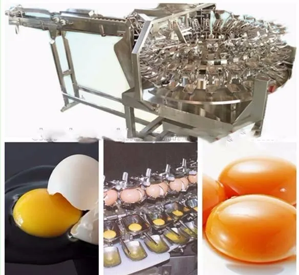 High Efficiency Egg Yolk Separating Machine Of Sinoder Buy Egg Yolk