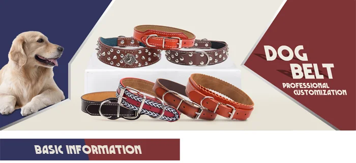 easy walk professional