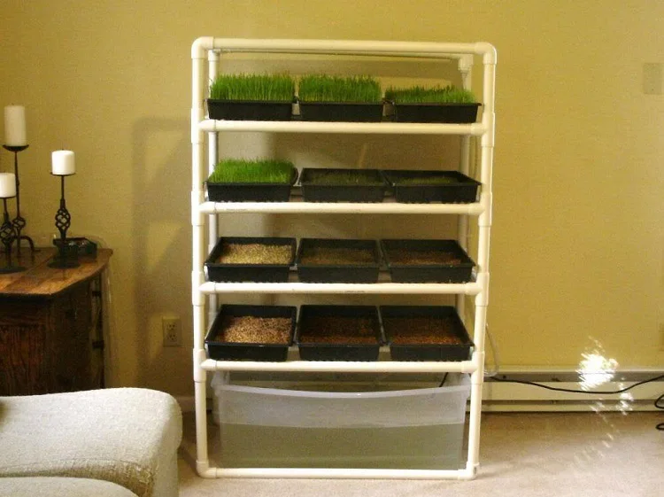 Indoor Microgreen Growing/seedling Hydroponic System With Trays - Buy ...