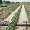 gravity drip irrigation system design and supply