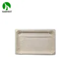 Japanese Sushi Pack Food Grade Paper Pulp Box For Food With Clear Lid