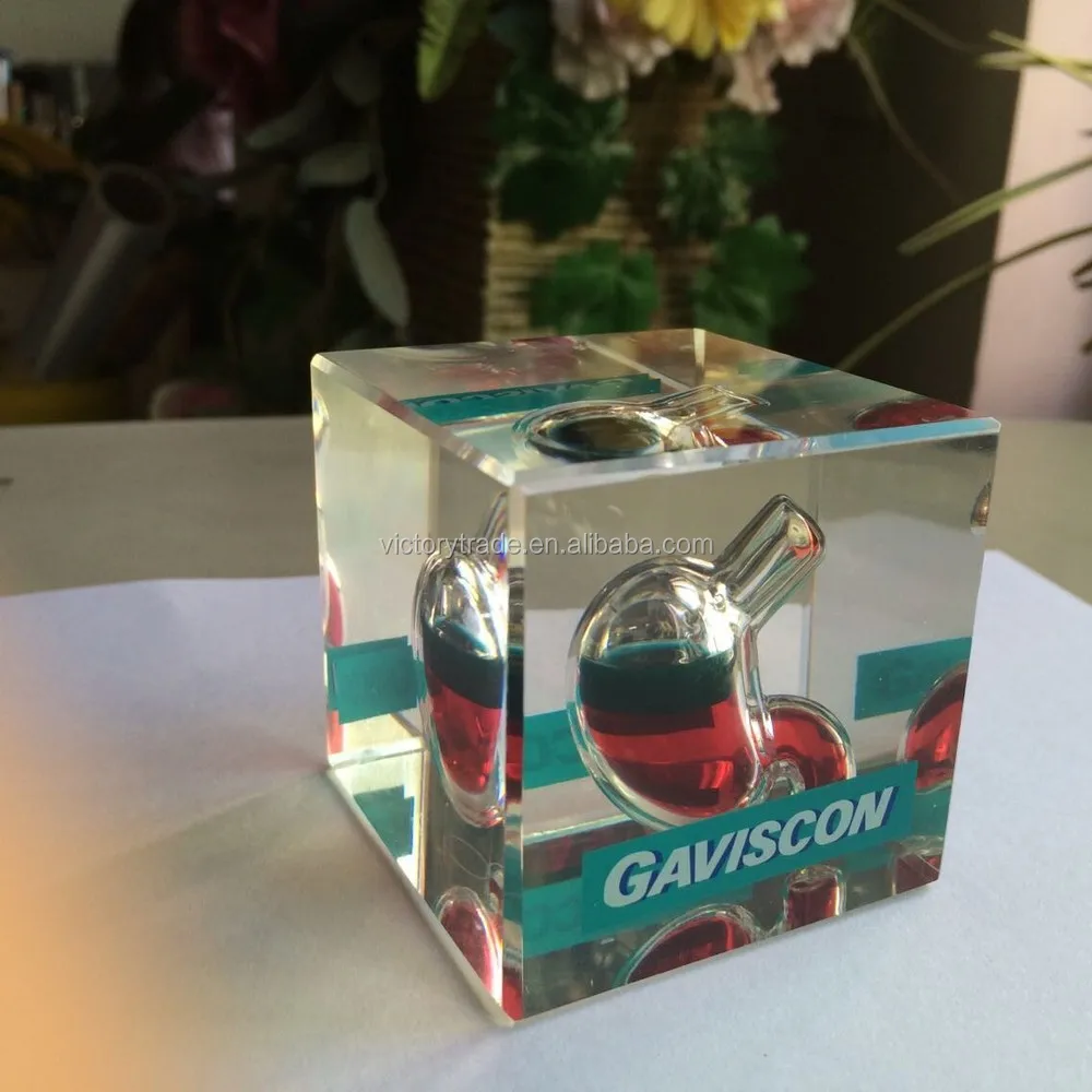 Vpw01 Custom Acrylic Stomach Shape Liquid Filled Paper Weight Buy