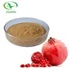 Hot Sale Products Pomegranate Rind Extract with Ellagic Acid / Ellagiguard
