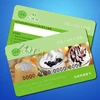 2019 New model pvc card id cards new models