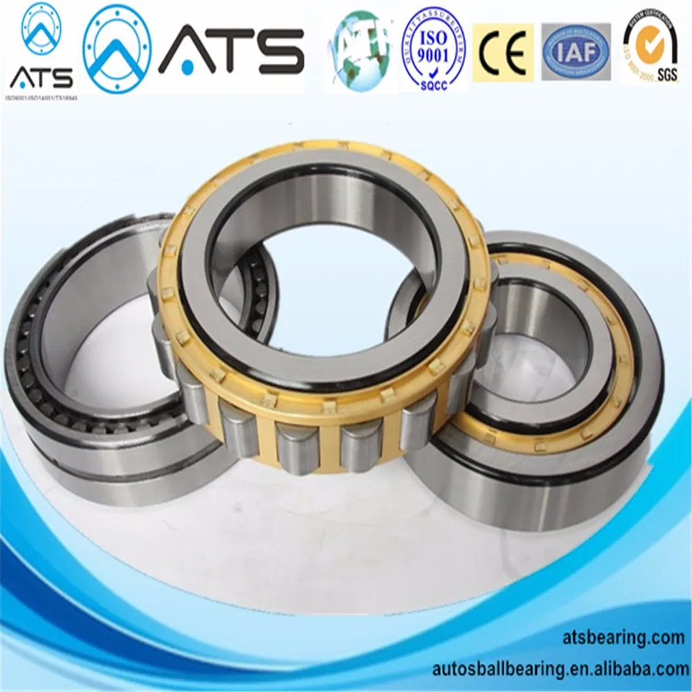 Industrial Cylindrical Roller Bearings Meat Grinder Bearing Bc Bearing ...