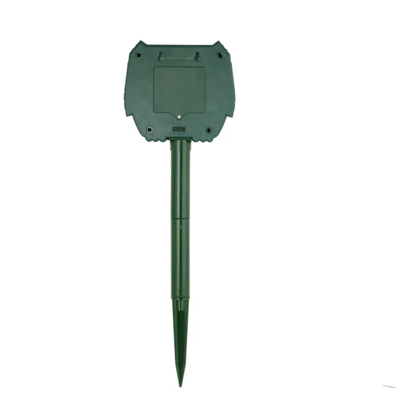 WKD-529 (2).jpg