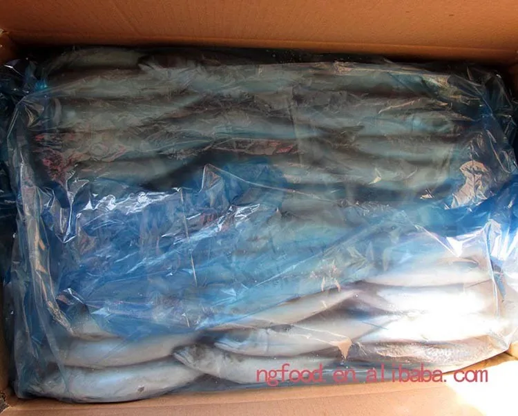 Frozen Pacific Mackerel Fresh Fish Catching Mackerel In Pouch Buy