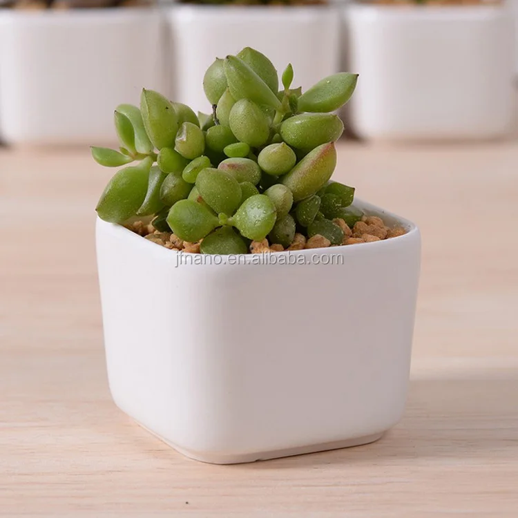 Creative Desktop Decoration Mini White Ceramic Flower Pots Creative Desktop Decoration Mini White Ceramic Flower Pots Product On Alibaba