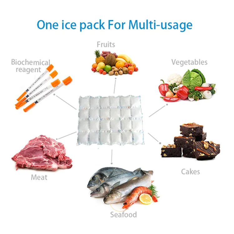 New Arrival Custom Fresh Frozen Food Dry Ice Gel Pack