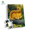 Zebulun Company Names Creative Squirrel Design DIY Plastic PP 3D Lenticular Puzzle