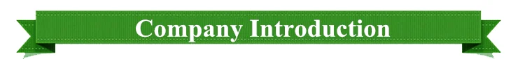 Company Introduction.png