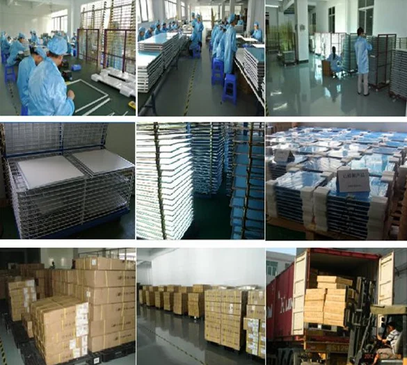 paste-pic-dp_uuid_mojem