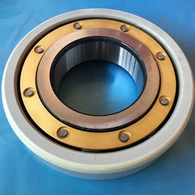 Insocoat Ball Bearings Insulated Bearings 6320/c3vl0241 Waterproof