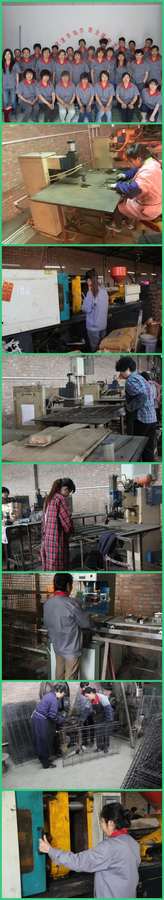 Solar Outdoor Wasp Trap Catcher Killer Buy Hard Bee&wasp&moth Trap