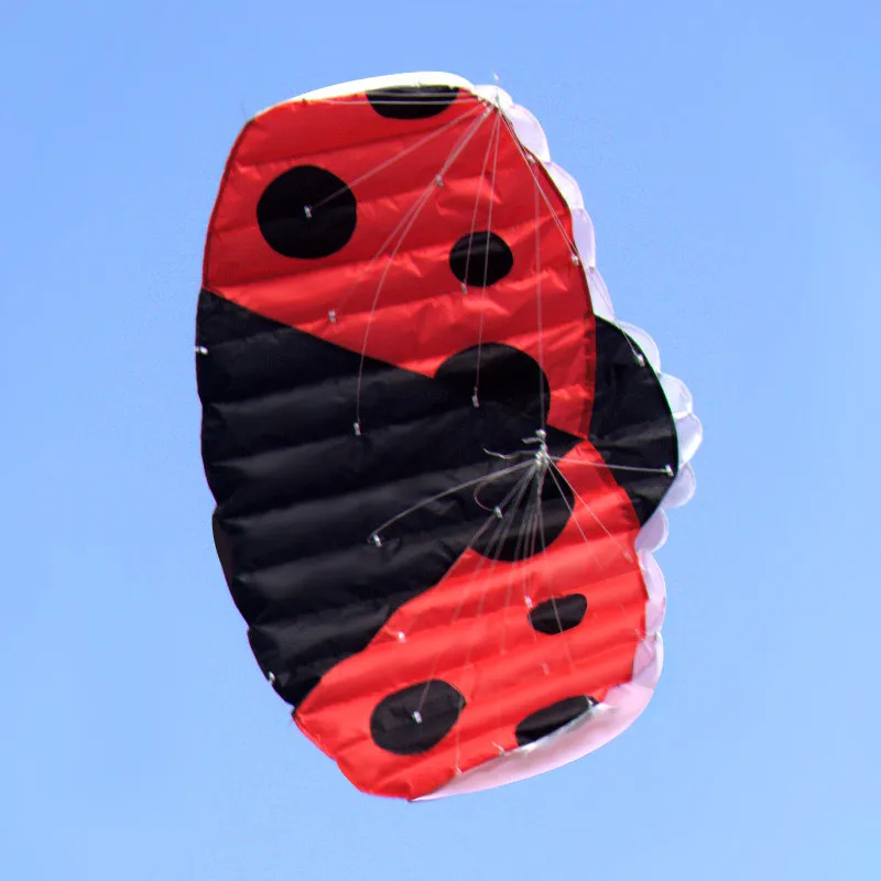 Ladybug Air Foil Power Kites For Sale Buy Power Kite,Foil Kites For