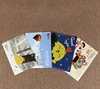 Plastic Document take away Bag with Flap