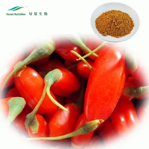 health & medical extract dried goji berry extract 506 products