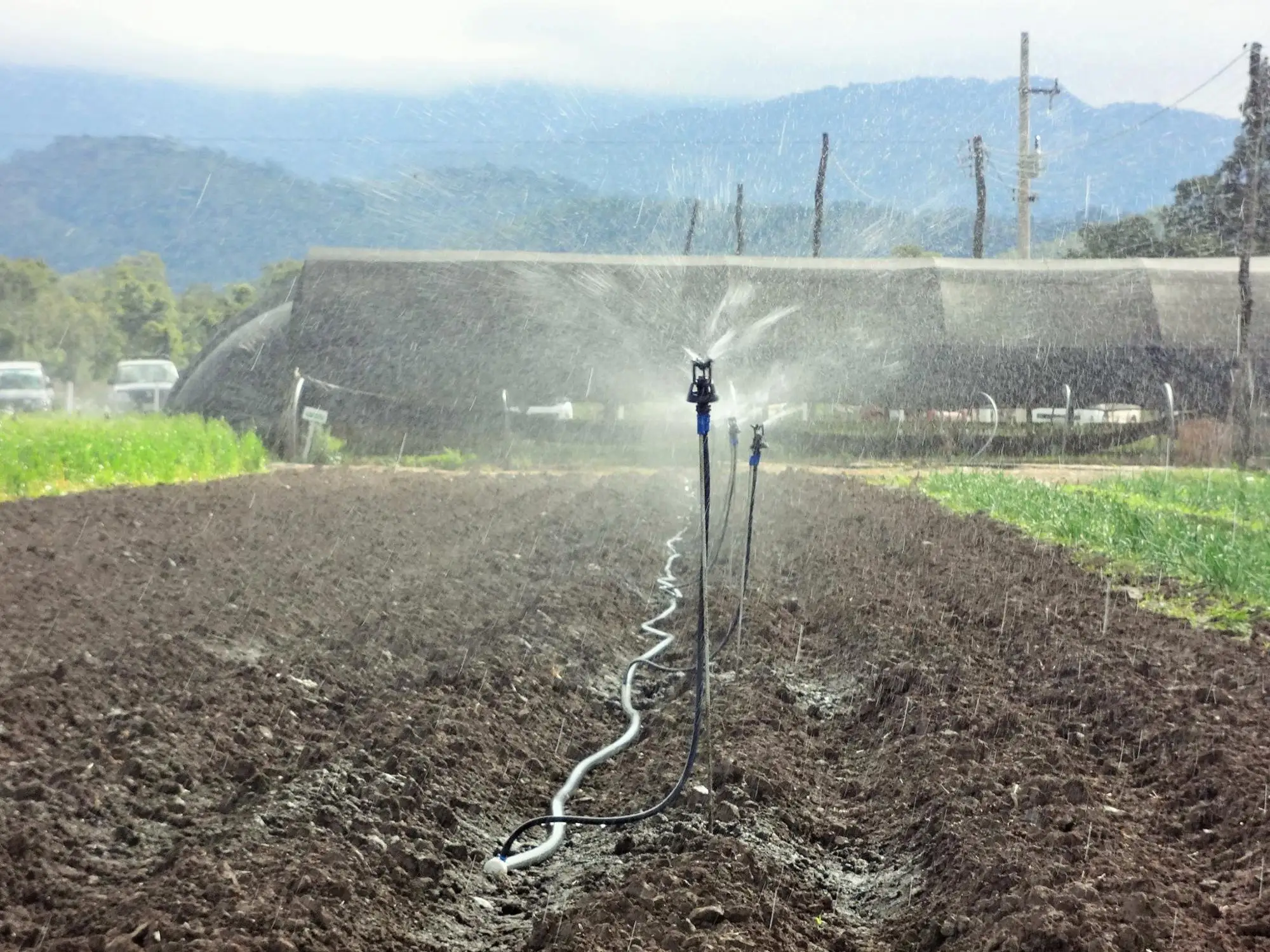Agriculture Irrigation System Plastic Wobbler Sprinkler Buy Wobbler Sprinkler,Irrigation