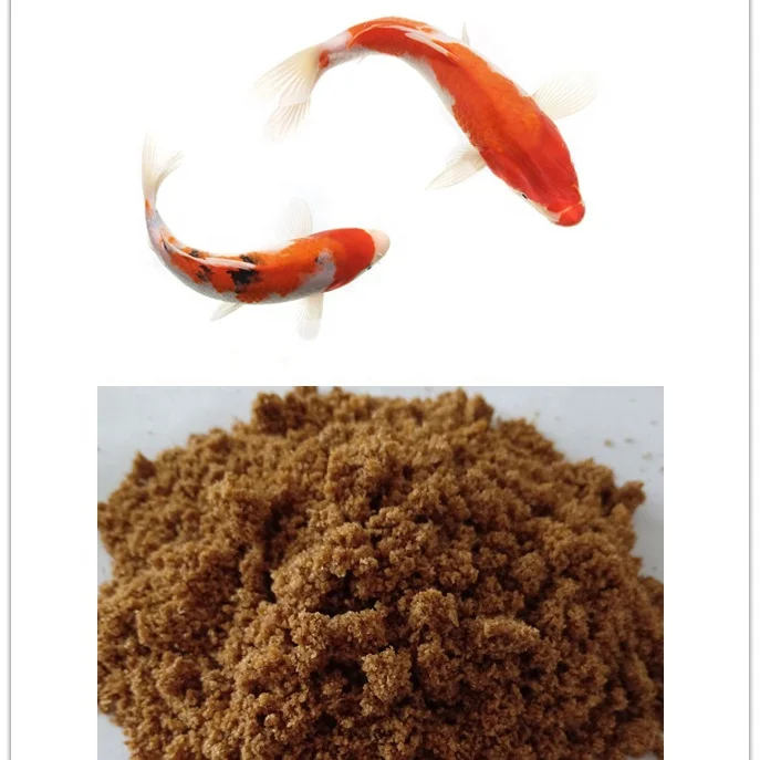 koi fish feed.jpg