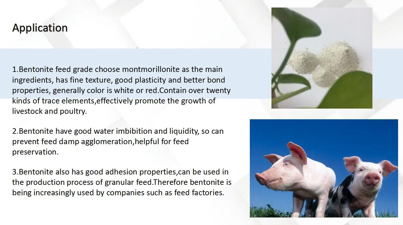 feed grade bentonite 2.png