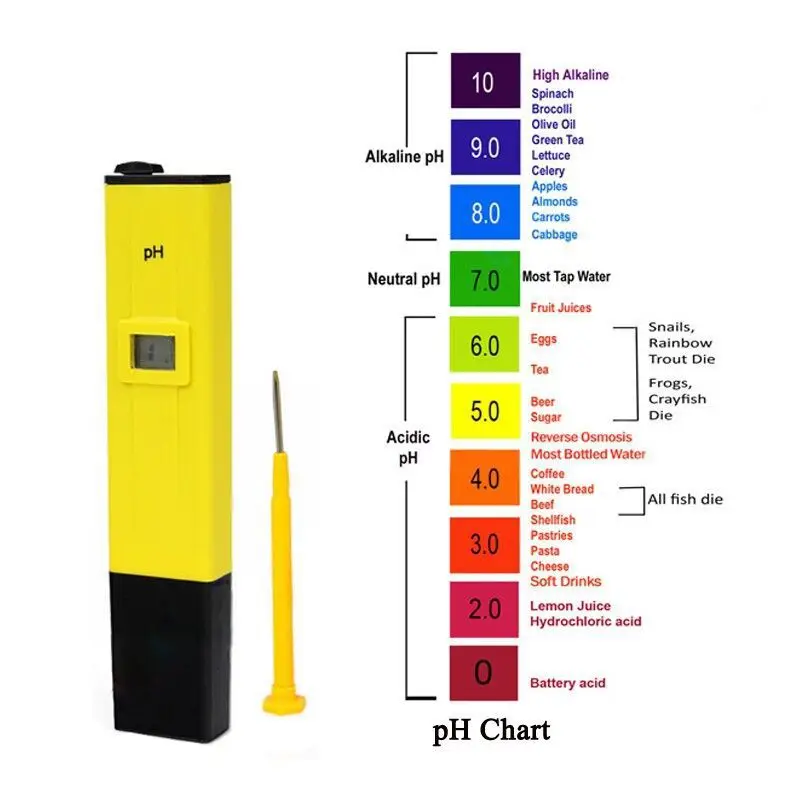 O Que É Ph No Princípio De Trabalho Do Teste De Água Do Ph Medidor ...