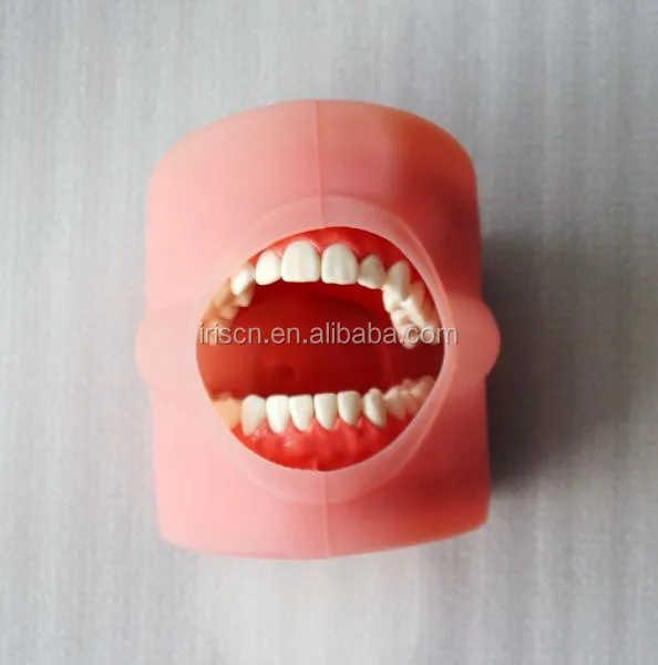 mask and teeth model.jpg