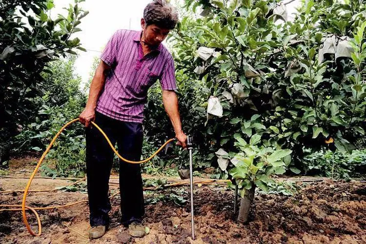 Fertilizing-Spray-Gun (3)